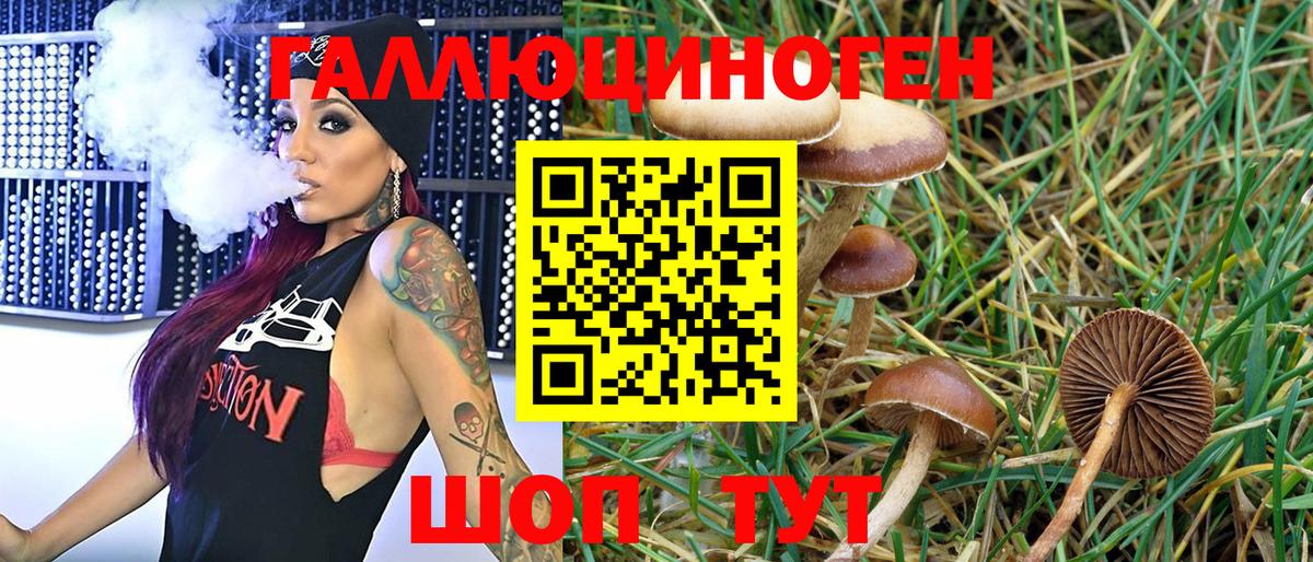 Псилоцибиновые грибы Psilocybe Иваново