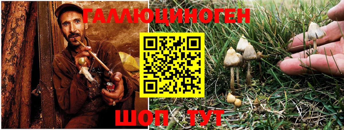 Галлюциногенные грибы мицелий  Галлюциногенные грибы Magic Shrooms  Иваново  Вход с VPN 